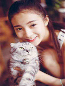一级谋杀1995