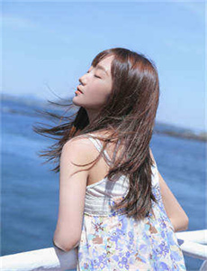 2016央视元宵