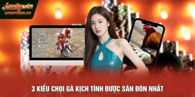 3 kiểu chọi gà kịch tính được săn đón nhất