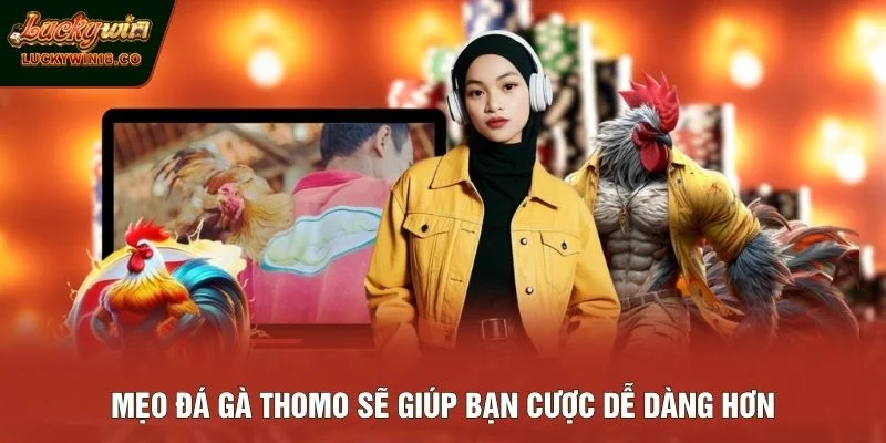 Mẹo đá gà Thomo sẽ giúp bạn cược dễ dàng hơn
