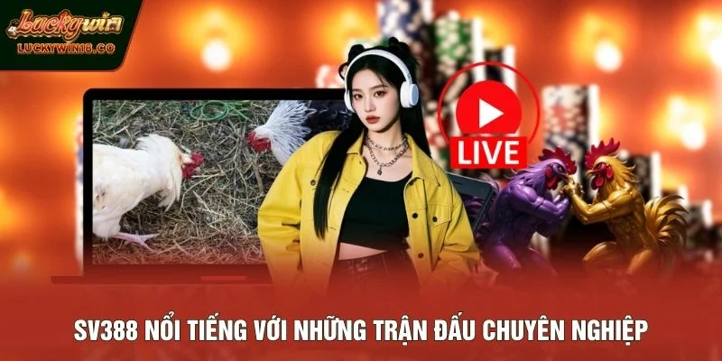 SV388 nổi tiếng với những trận đấu chuyên nghiệp